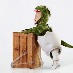 Pottery Barn Infant Dinosaur Costume